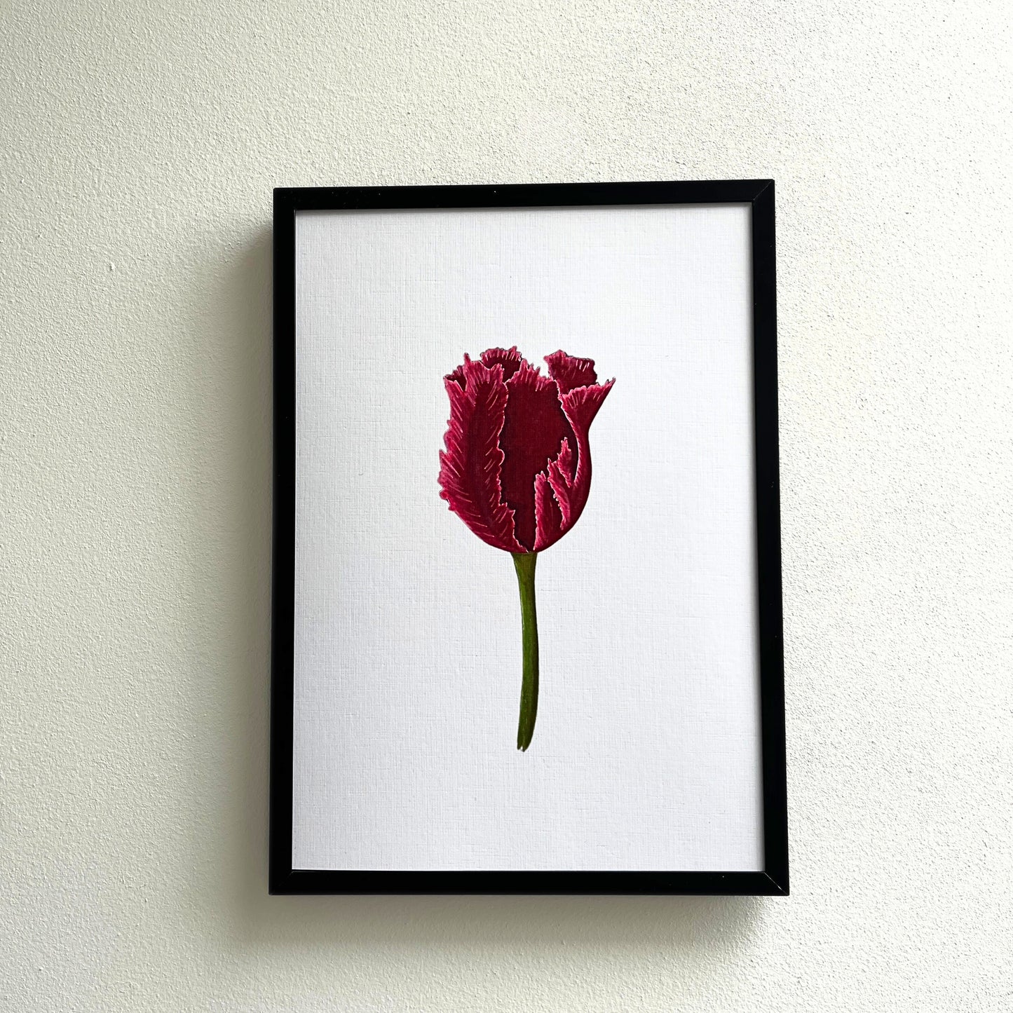 Kunstdruck 'Rote Tulpe'
