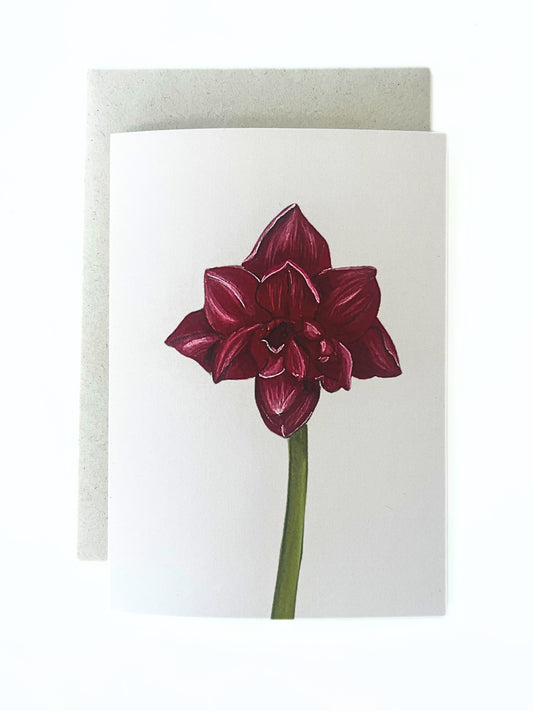 Wenskaart 'Amaryllis'
