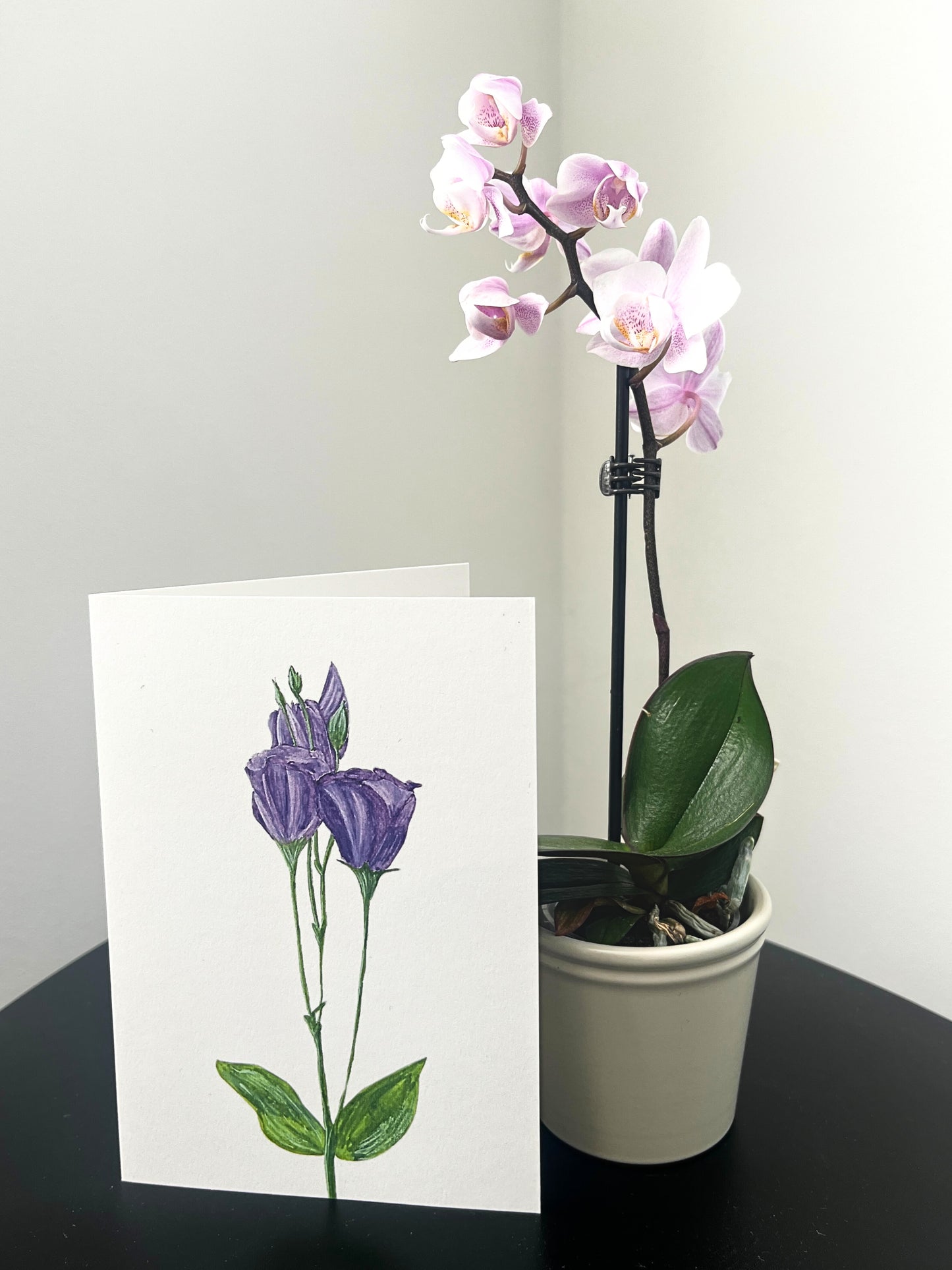 Wenskaart 'Lisianthus'