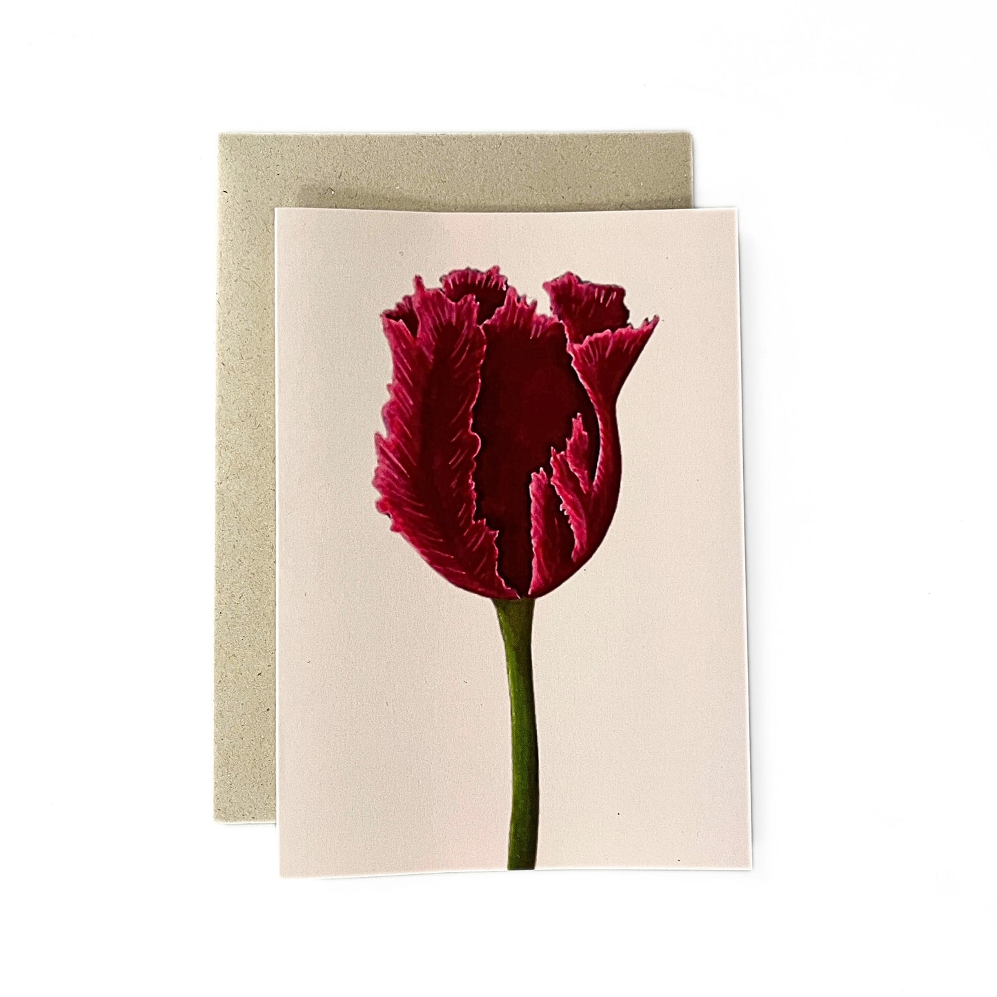 Greeting card 'Red tulip'