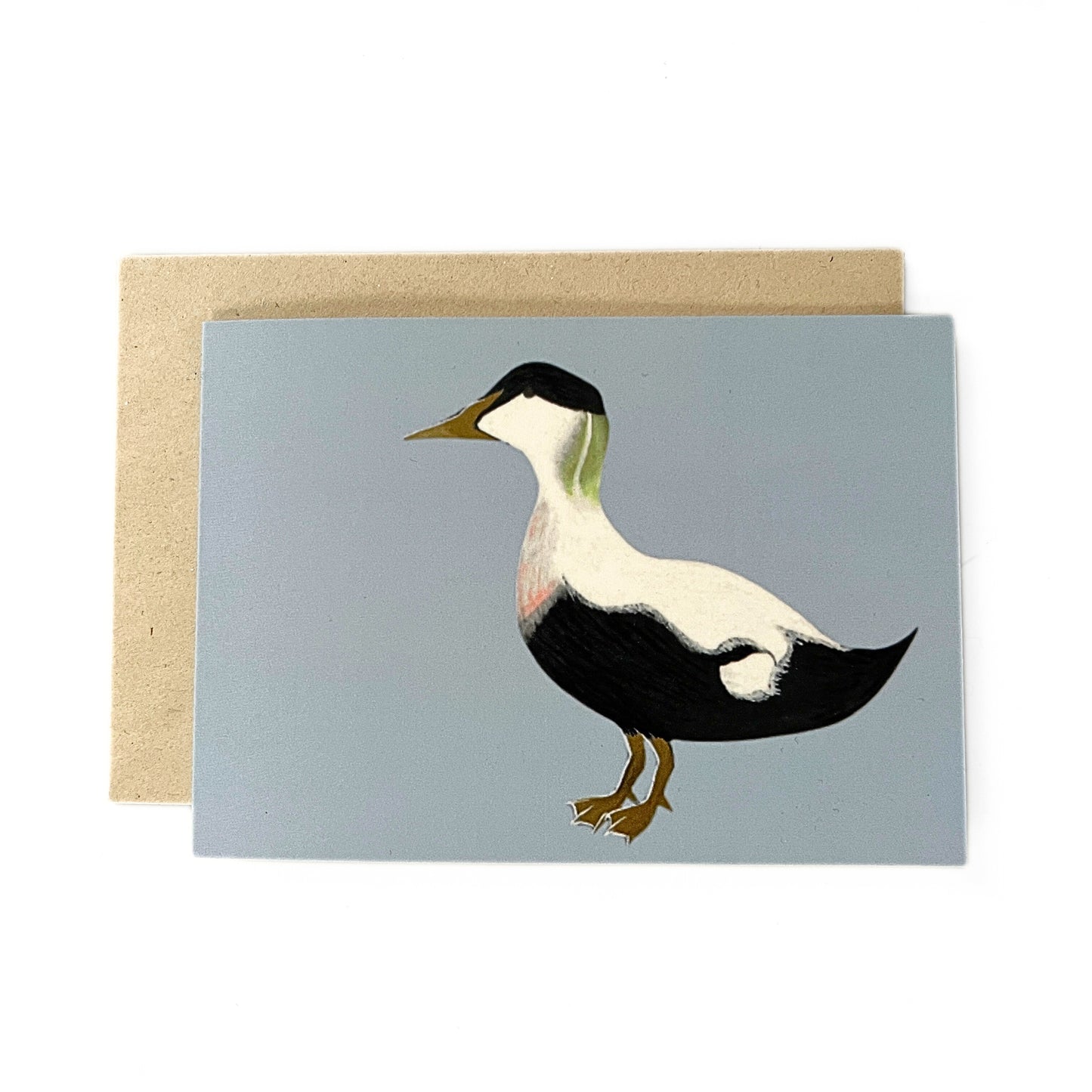 Greeting card 'Eider duck'
