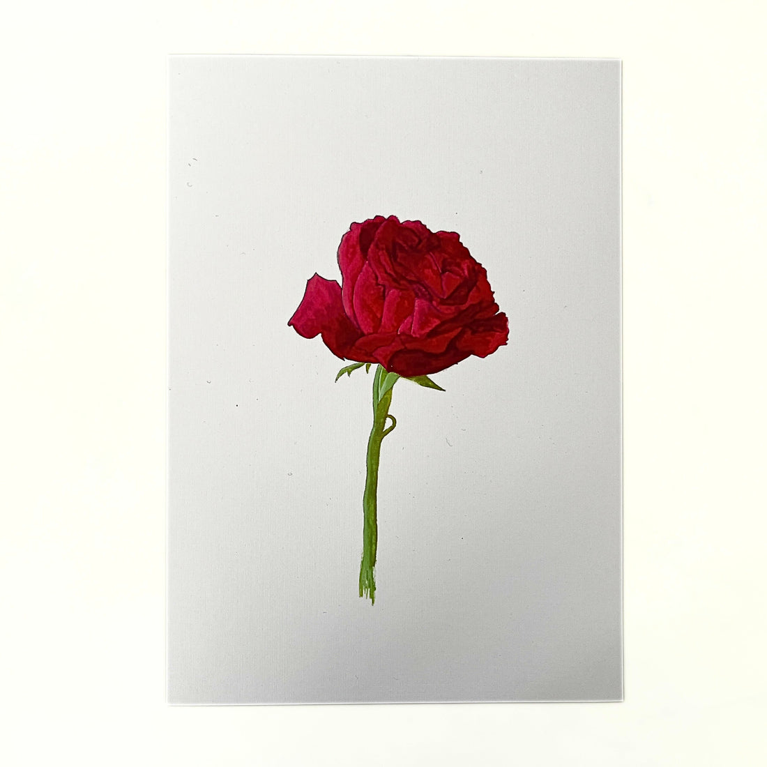 Bloemen en planten schilderen met gouache: stap-voor-stap