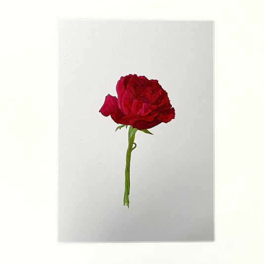 Bloemen en planten schilderen met gouache: stap-voor-stap
