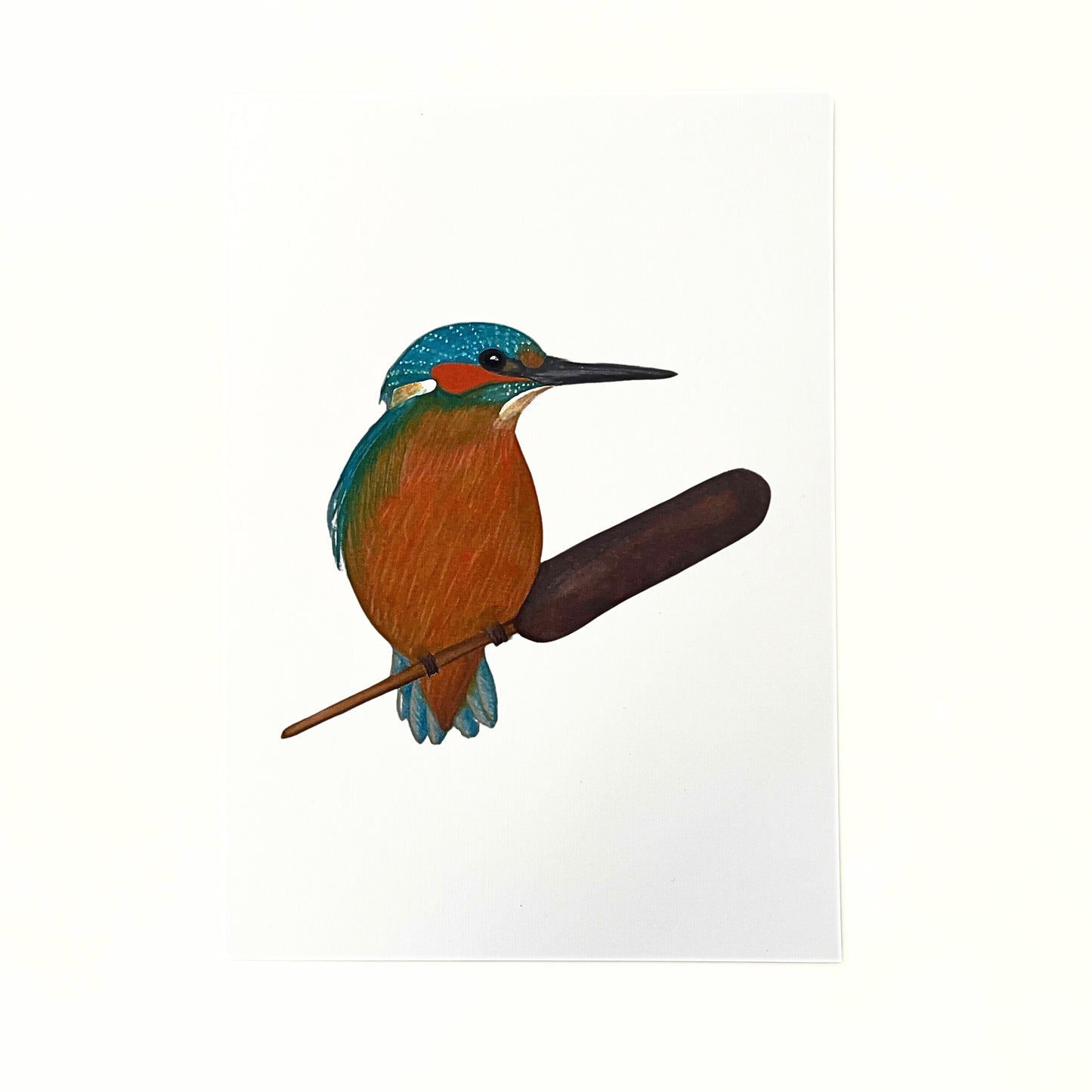 Art print 'Kingfisher'