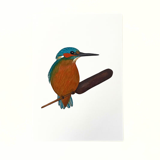 Art print 'Kingfisher'