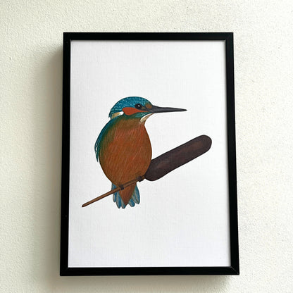 Art print 'Kingfisher'