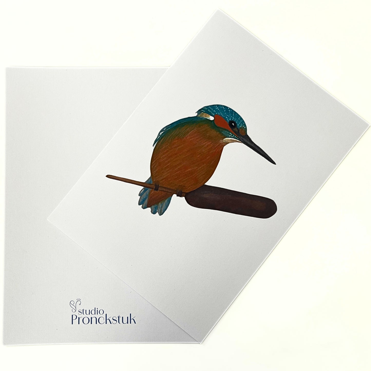 Art print 'Kingfisher'