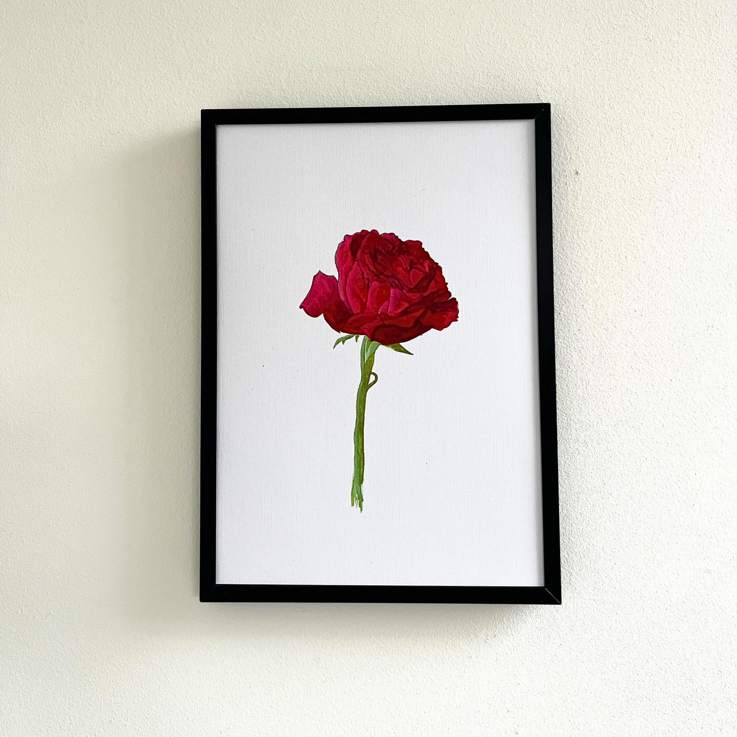 Art print 'Red rose'