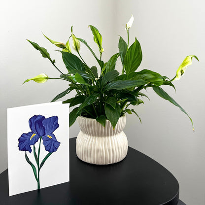 Wenskaart 'Iris'