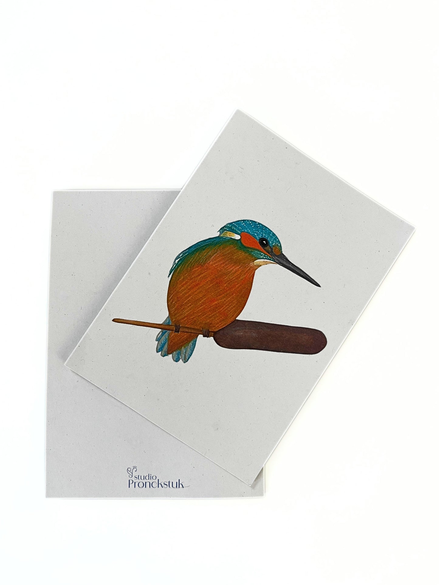 Grußkarte 'Eisvogel'