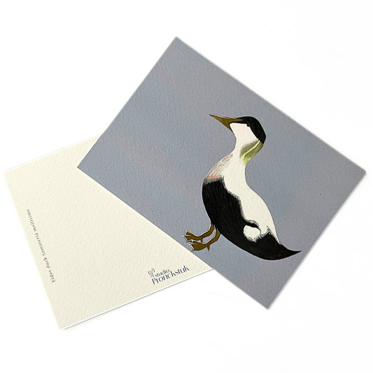 Art card 'Eider duck'