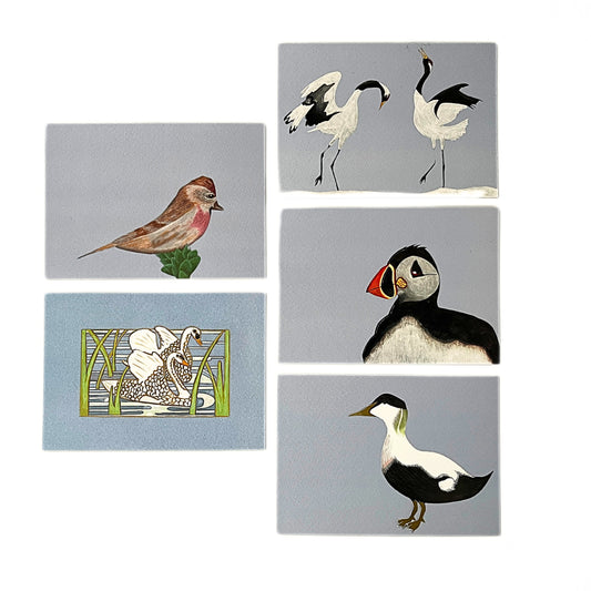 Mix &amp; Match 5 Art Cards