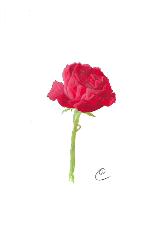 Original gouache painting 'Red rose'