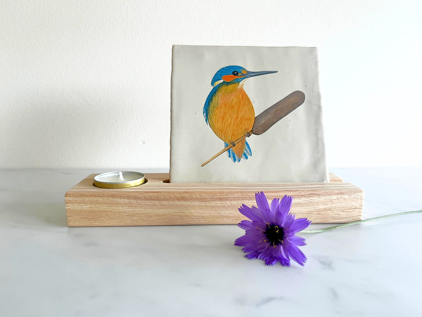 Tegeltje 'IJsvogel'
