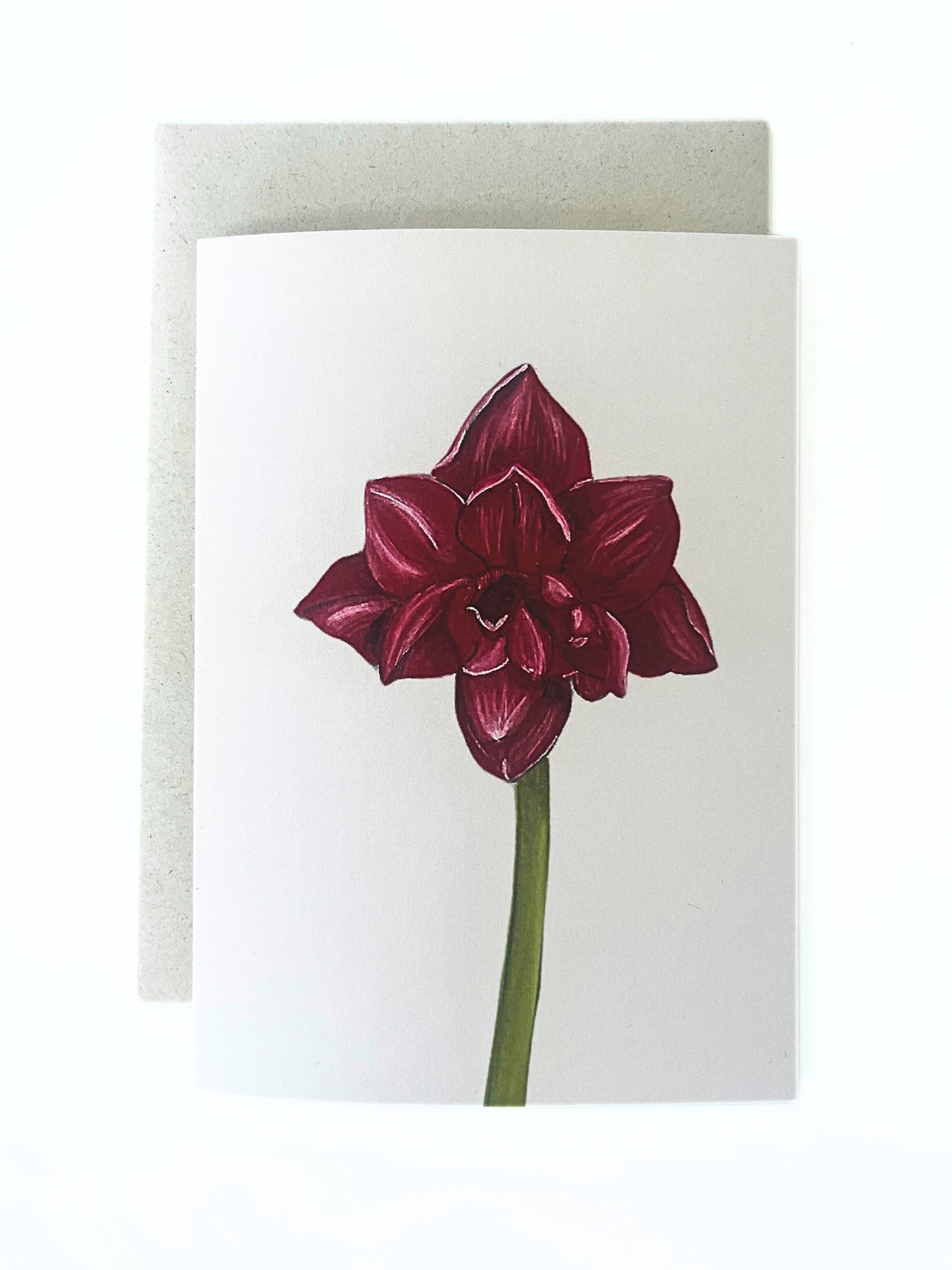 Wenskaart 'Amaryllis'