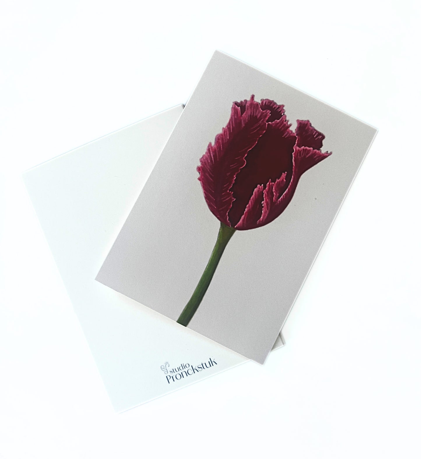 Grußkarte 'Rote Tulpe'