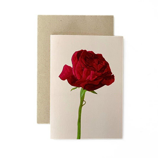 Greeting card 'Red rose'