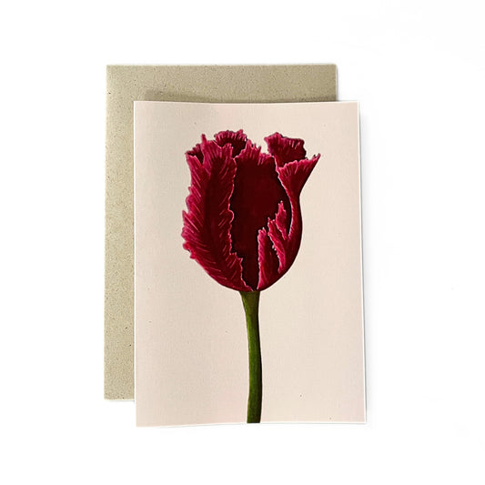 Greeting card 'Red tulip'