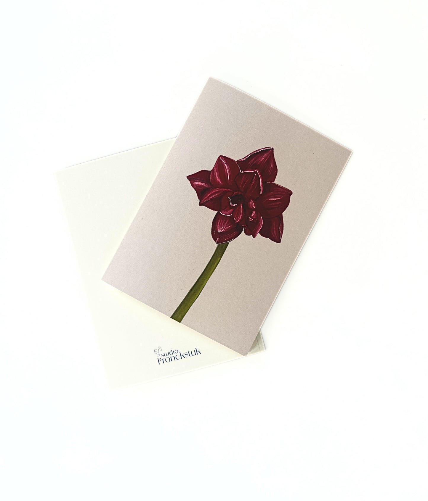 Wenskaart 'Amaryllis'