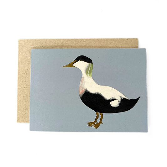 Greeting card 'Eider duck'