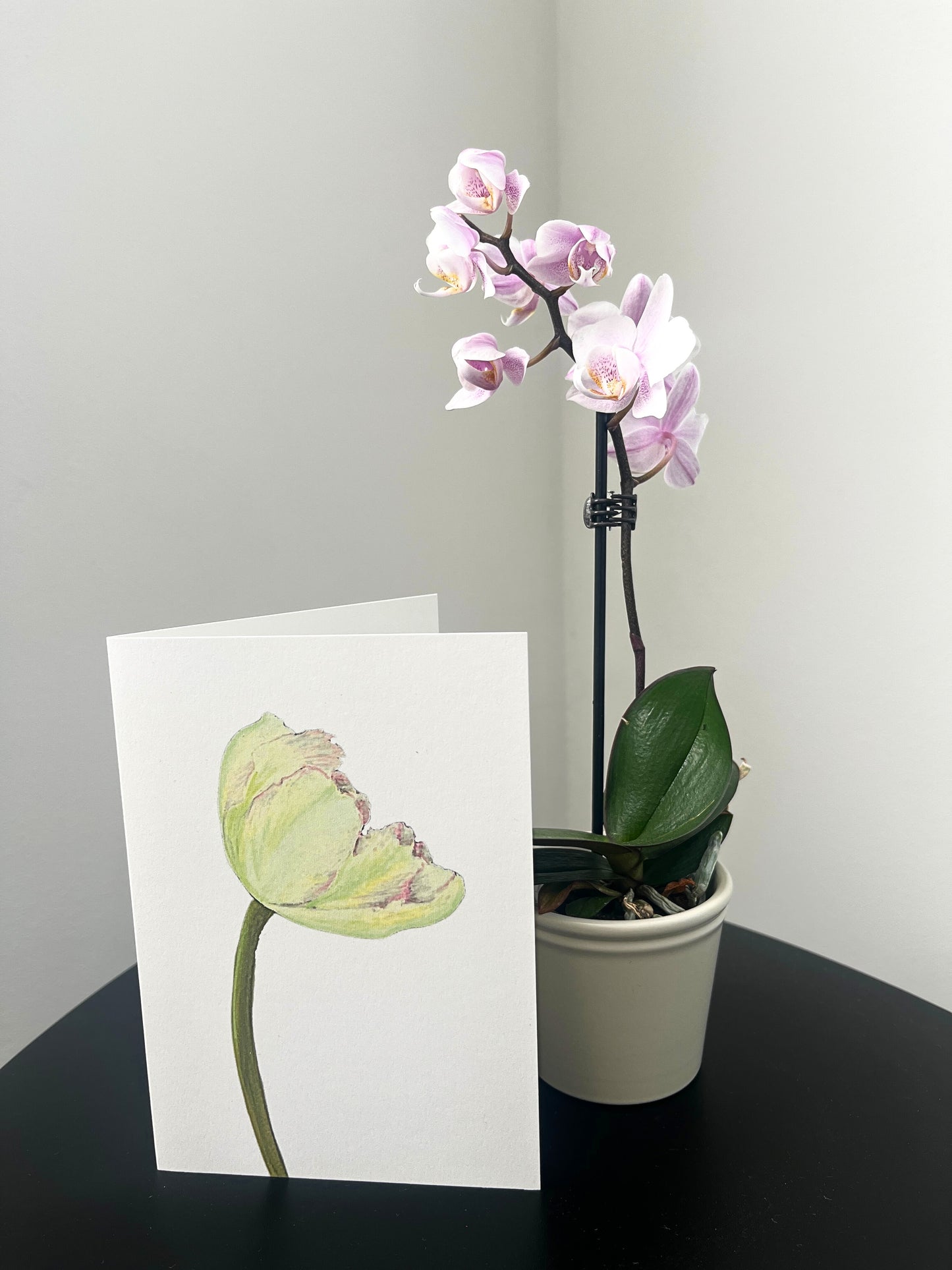 Wenskaart 'Lichtgele tulp'