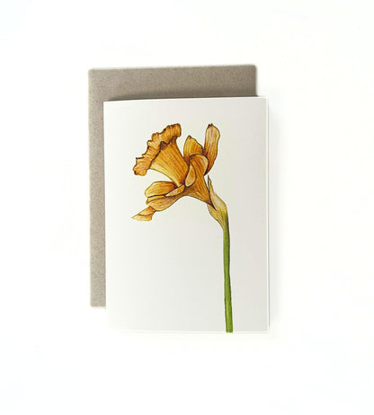 Wenskaart geboortebloem maart  'Gele narcis'