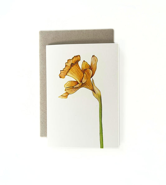 Wenskaart geboortebloem maart  'Gele narcis'
