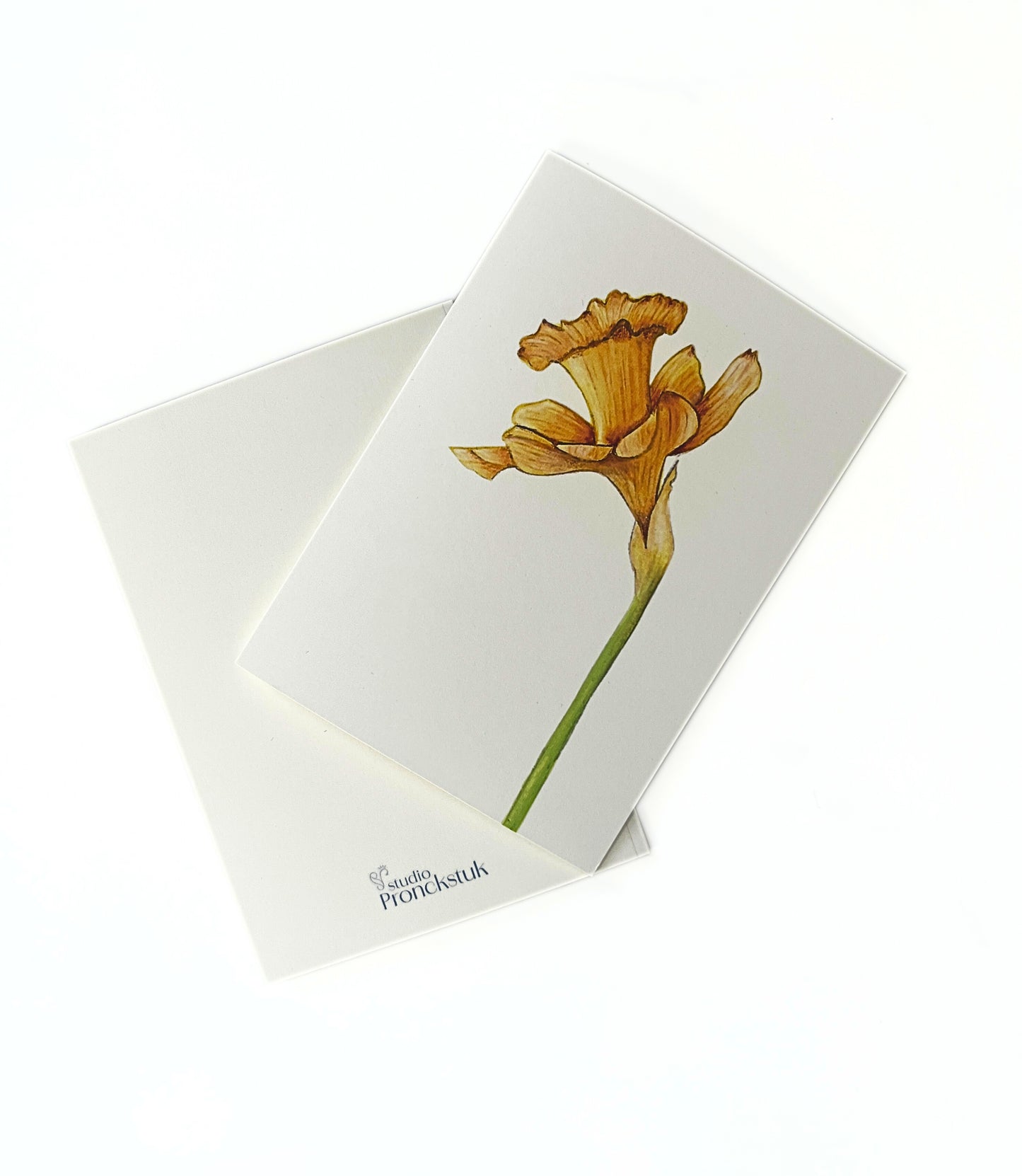 Wenskaart geboortebloem maart  'Gele narcis'